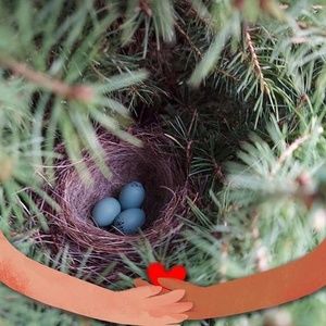 Meet your Posher, Dee